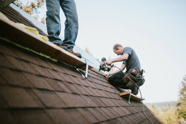 Roof Gutter Cleaning in Kirkland, IL